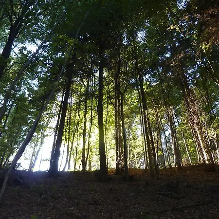 Gasthof Hof Guttels Waldgasthof Ferienpension